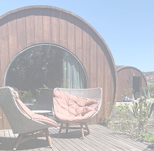 Portugal - Gastronomia & Douro